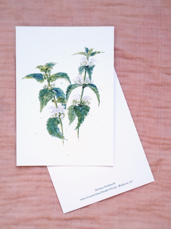 Premium Postkarte "Taubnessel"